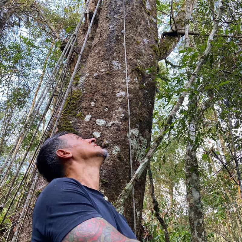 Wdson Ferreira Brum observando uma árvore de grande porte na mata